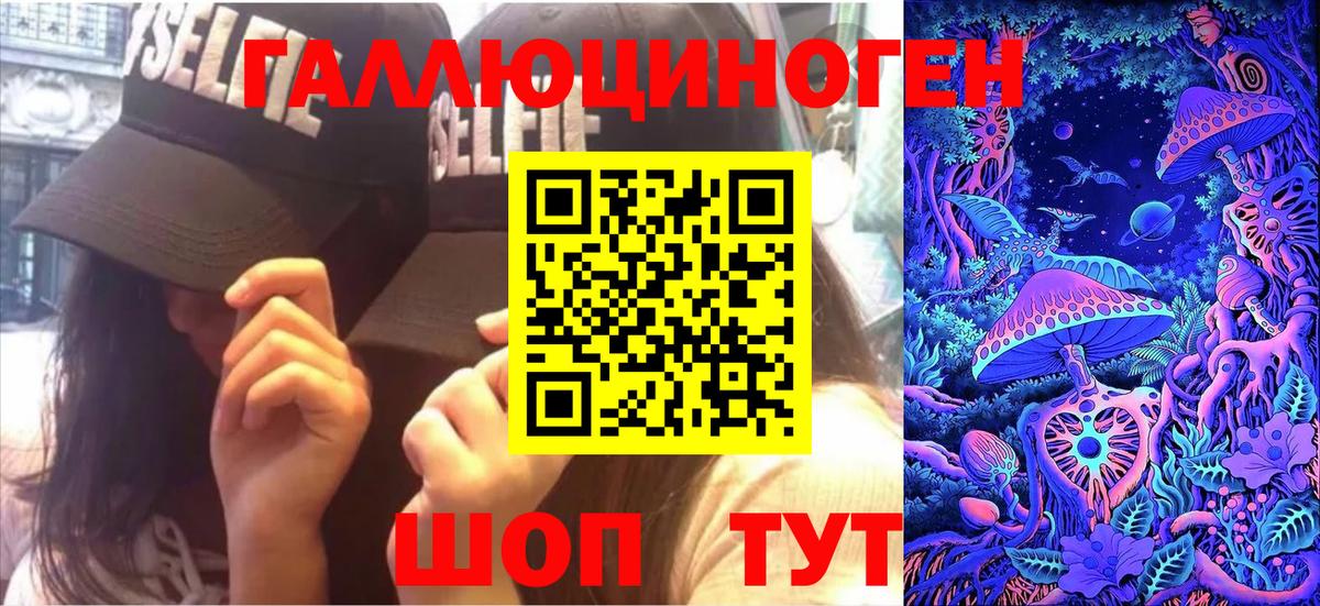 Псилоцибиновые грибы MAGIC MUSHROOMS  Вход с VPN  Феодосия  Псилоцибиновые грибы Psilocybe 